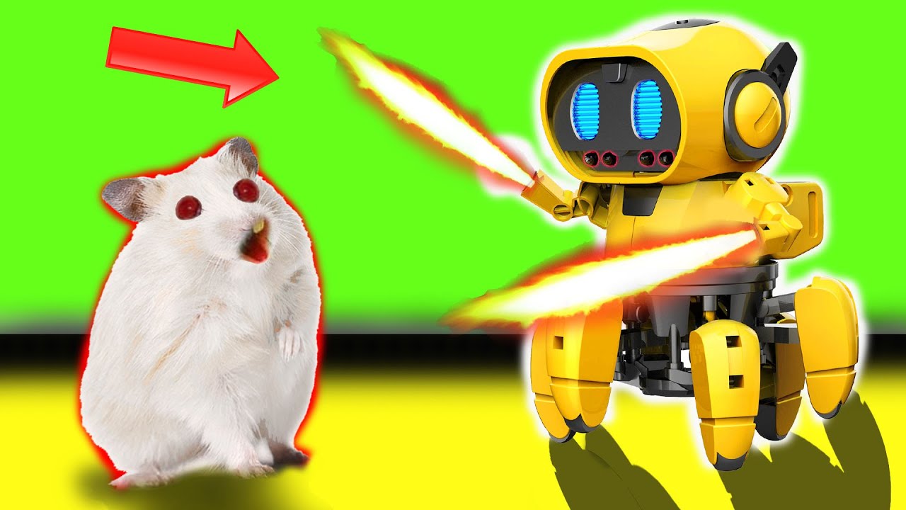 😱🐹Hamster Challenges Maze With Traps & Robot😱OBSTACLE COURSE😱