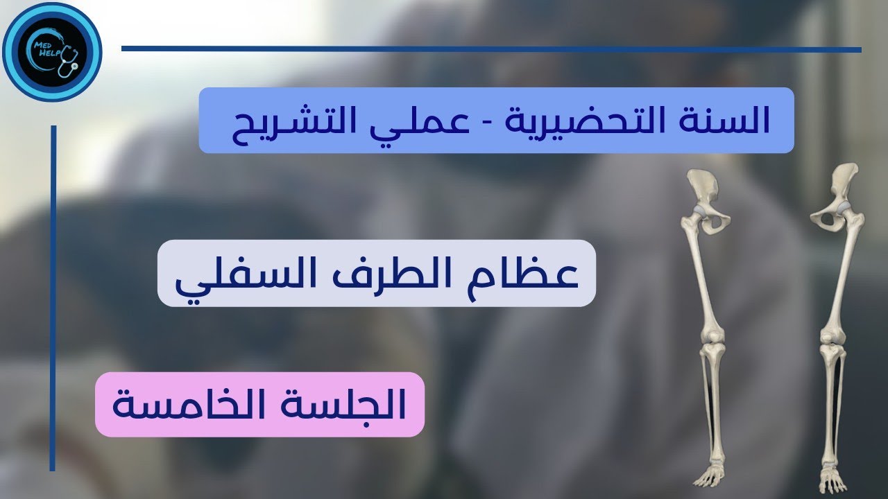عظام الطرف السفلي | عملي التشريح العام | الجلسة الخامسة