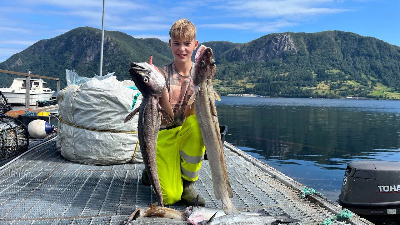 Fiske med garn god fangst