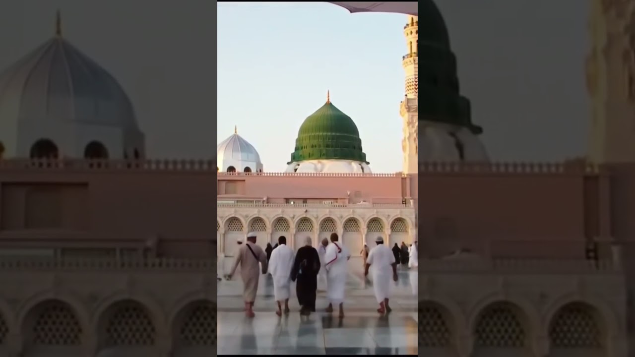 #droodpak