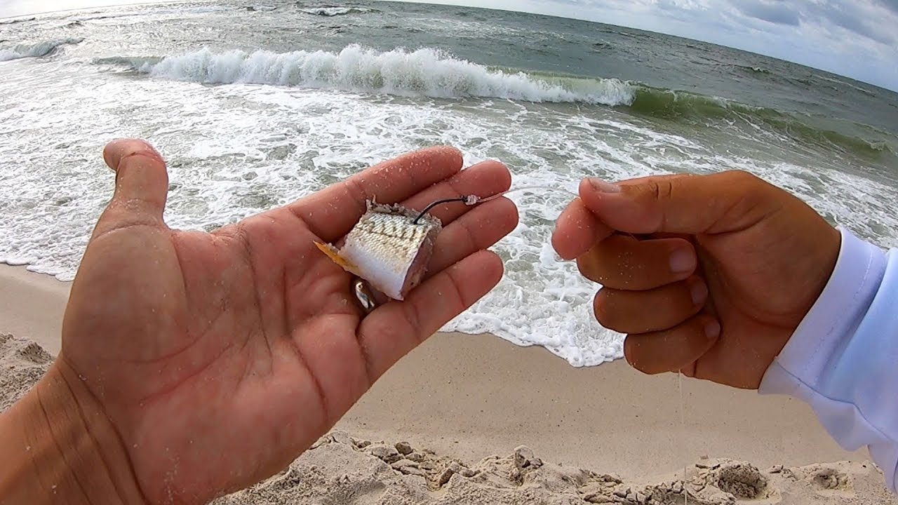 Surf Fishing with CUT BAIT in Rough Surf