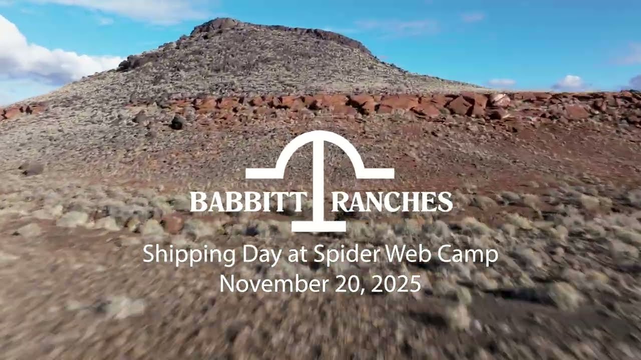 Shipping at Spider Web Camp - 11/20/2025