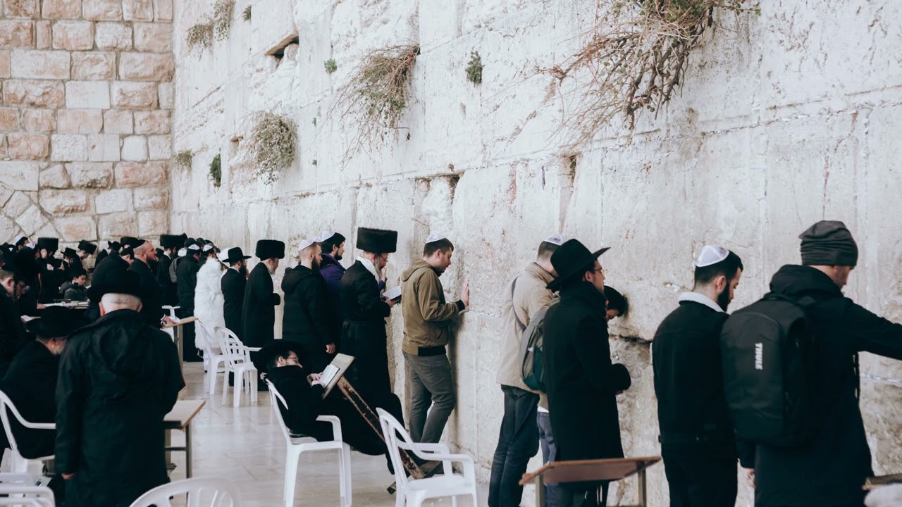 Shabbat Shira   Sim Shalom