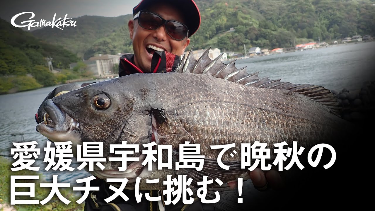 愛媛県宇和島で晩秋の巨大チヌに挑む！【G WORLD #2】