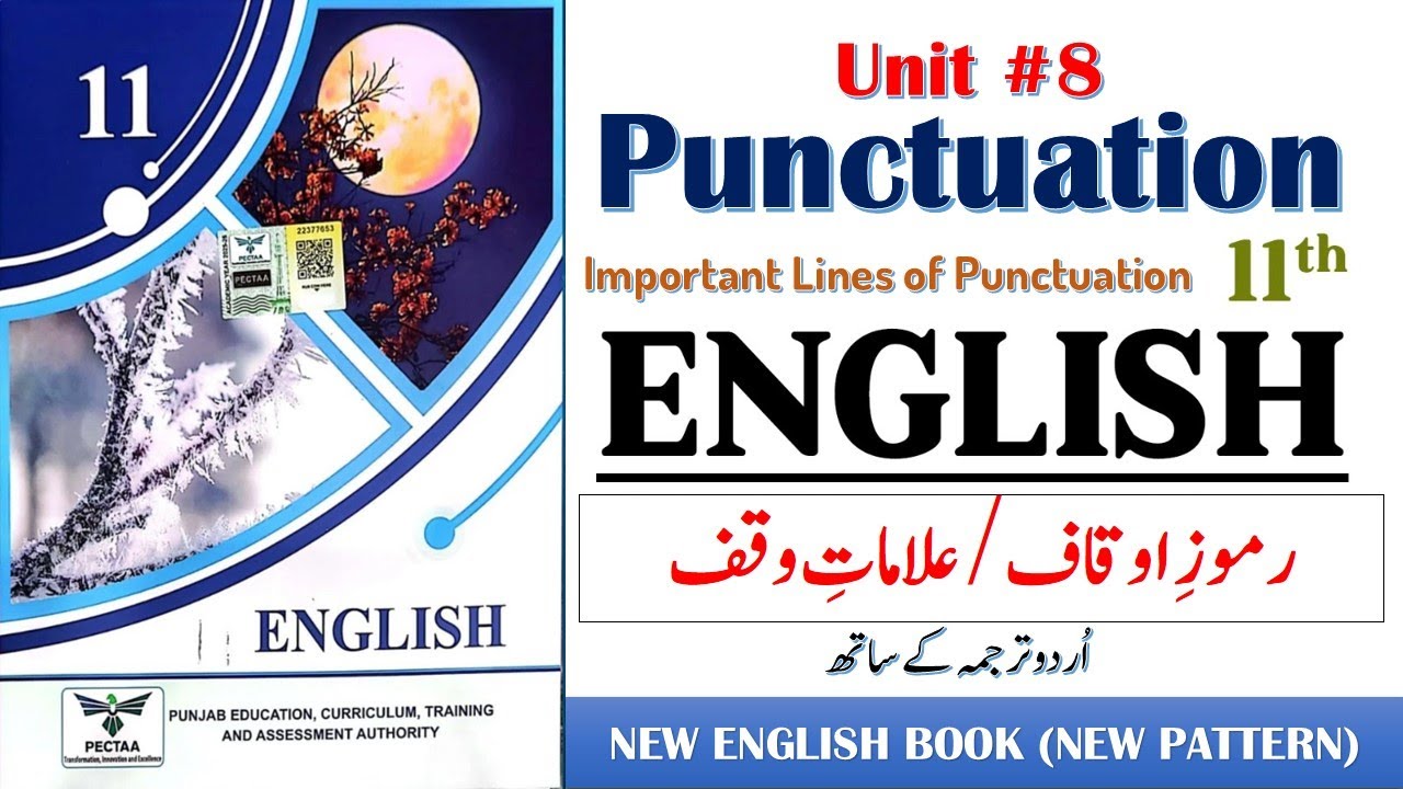 Punctuation Explained with Examples | Unit 8 Clean Water | First Year English Book | 11 Class 