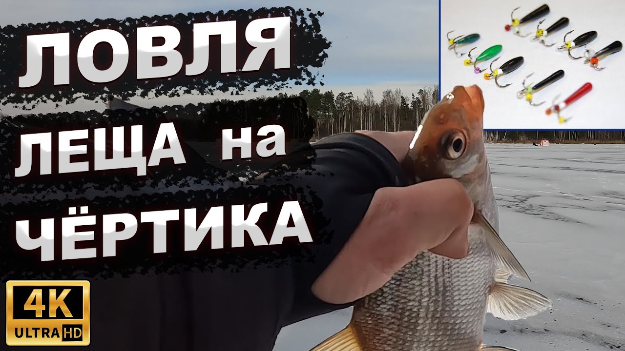 Ловля леща на черта. Десногорское водохранилище
