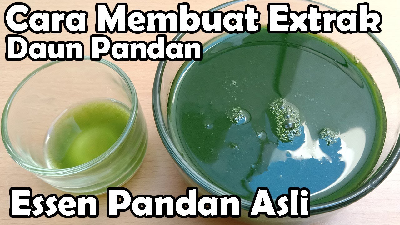 Cara Membuat Extrak Daun Pandan | Essen Pandan Asli
