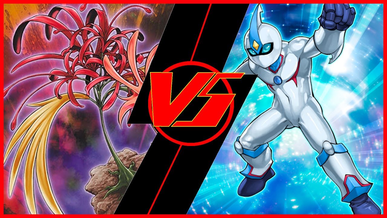 Edison Format - Amaryllis vs Hero Diva