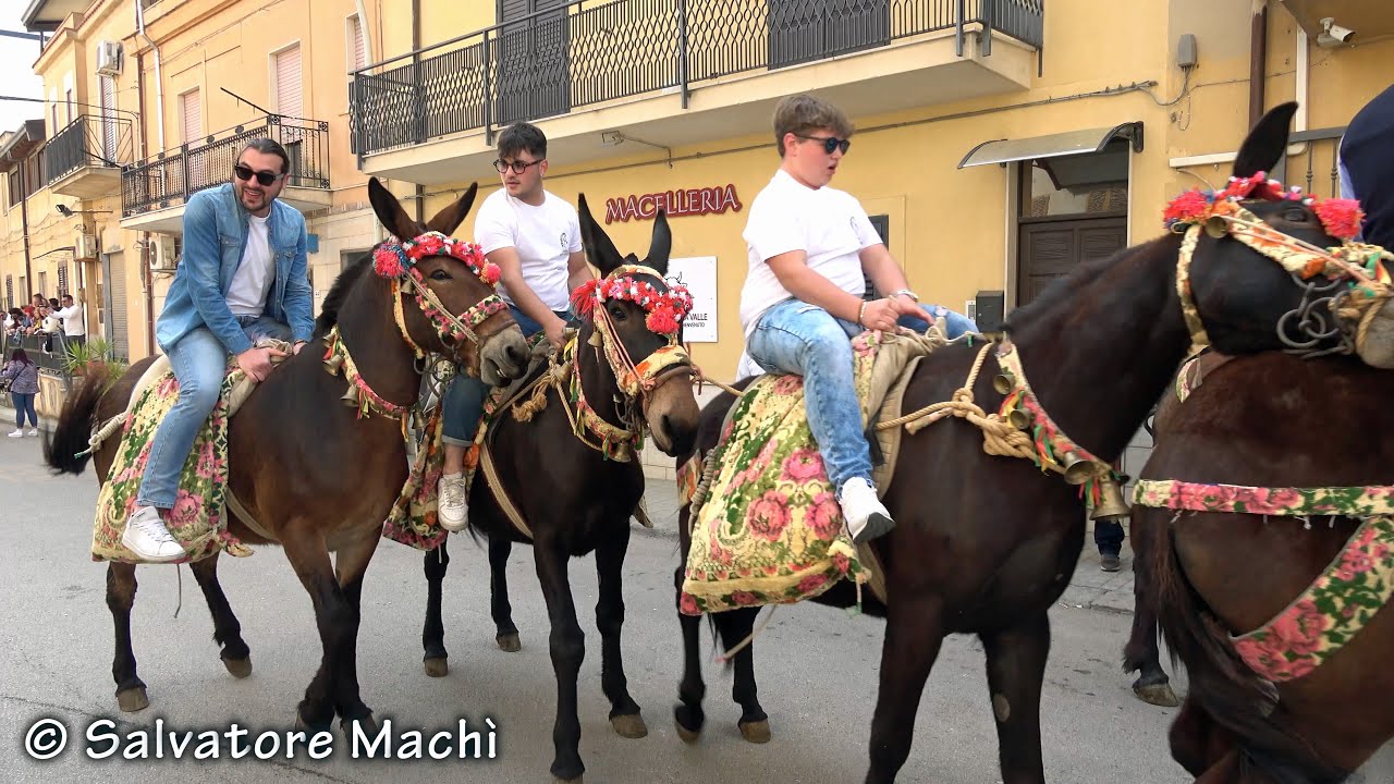 Vicari (PA) - Sfilata equestre - 1^ parte - 2024