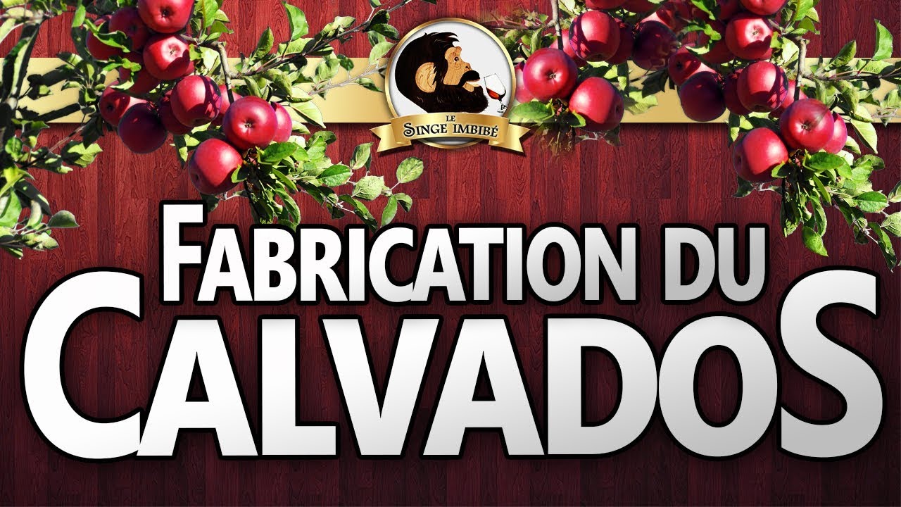 [CALVADOS] LA FABRICATION DU CALVADOS - Le Singe Imbibé - EP4