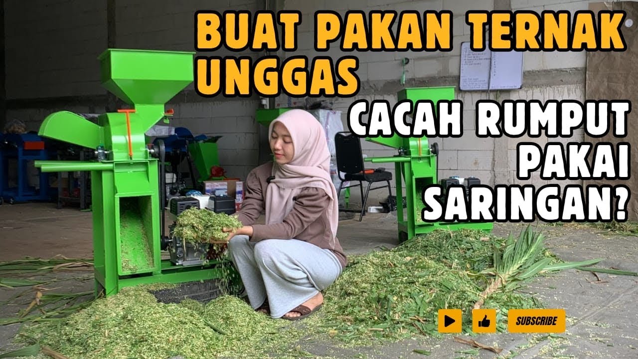 FUNGSI NYA BERTAMBAH LAGI ?! HASIL LEBIH HALUS BISA UNTUK PAKAN UNGGAS MESIN MULTIFUNGSI #mesincoper