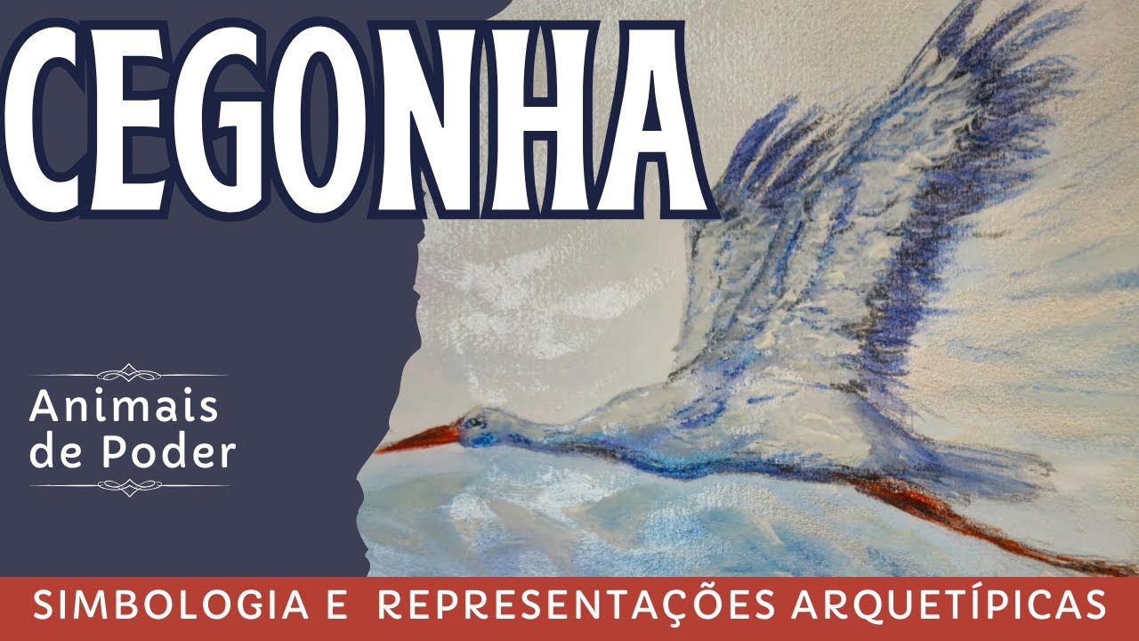 A cegonha como animal de poder -  representações arquetípicas e simbologia