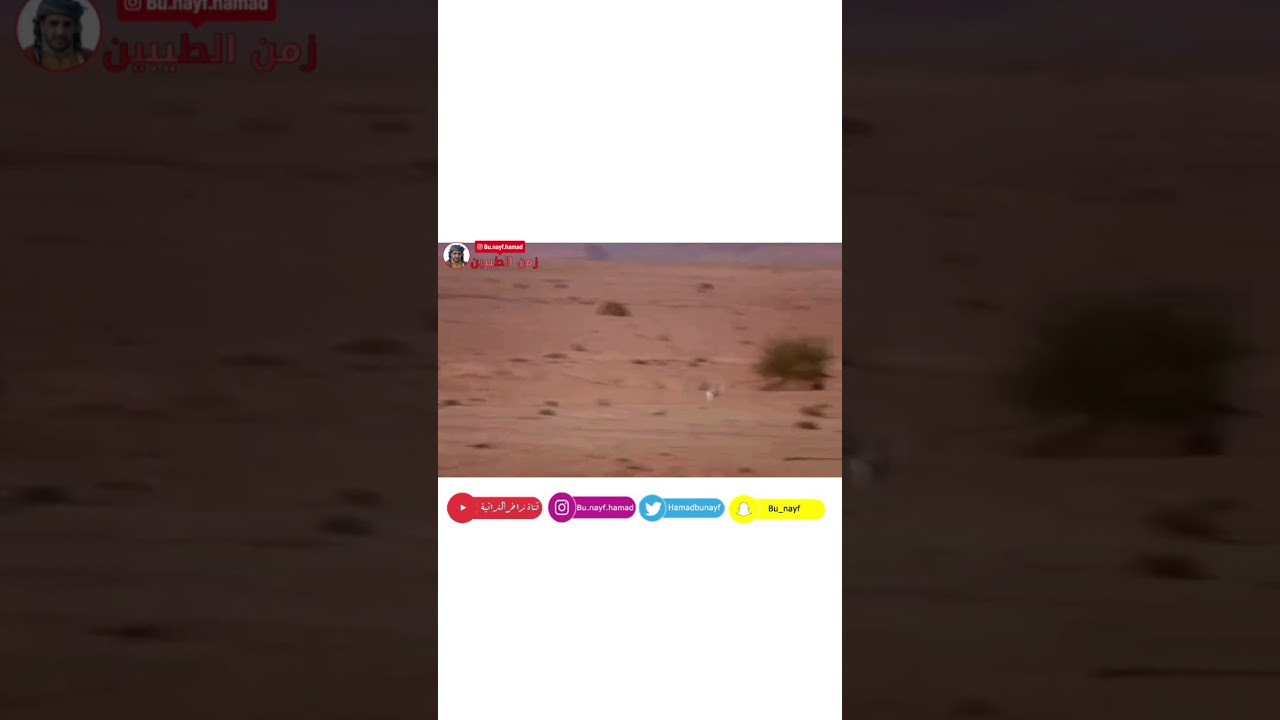 كلمة سعادة حمد بن سهيل الخييلي