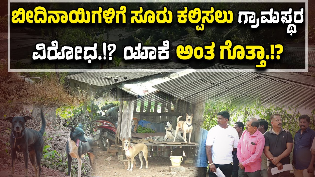 ಬೀದಿನಾಯಿಗಳಿಗೆ ಜಿಲ್ಲಾಡಳಿತದಿಂದ ಸೂರು..! ಬೇಡವೇ ಬೇಡ ಅನ್ನುತ್ತೆ ಈ ಊರು.!? ಕಾರಣವೇನು.!?