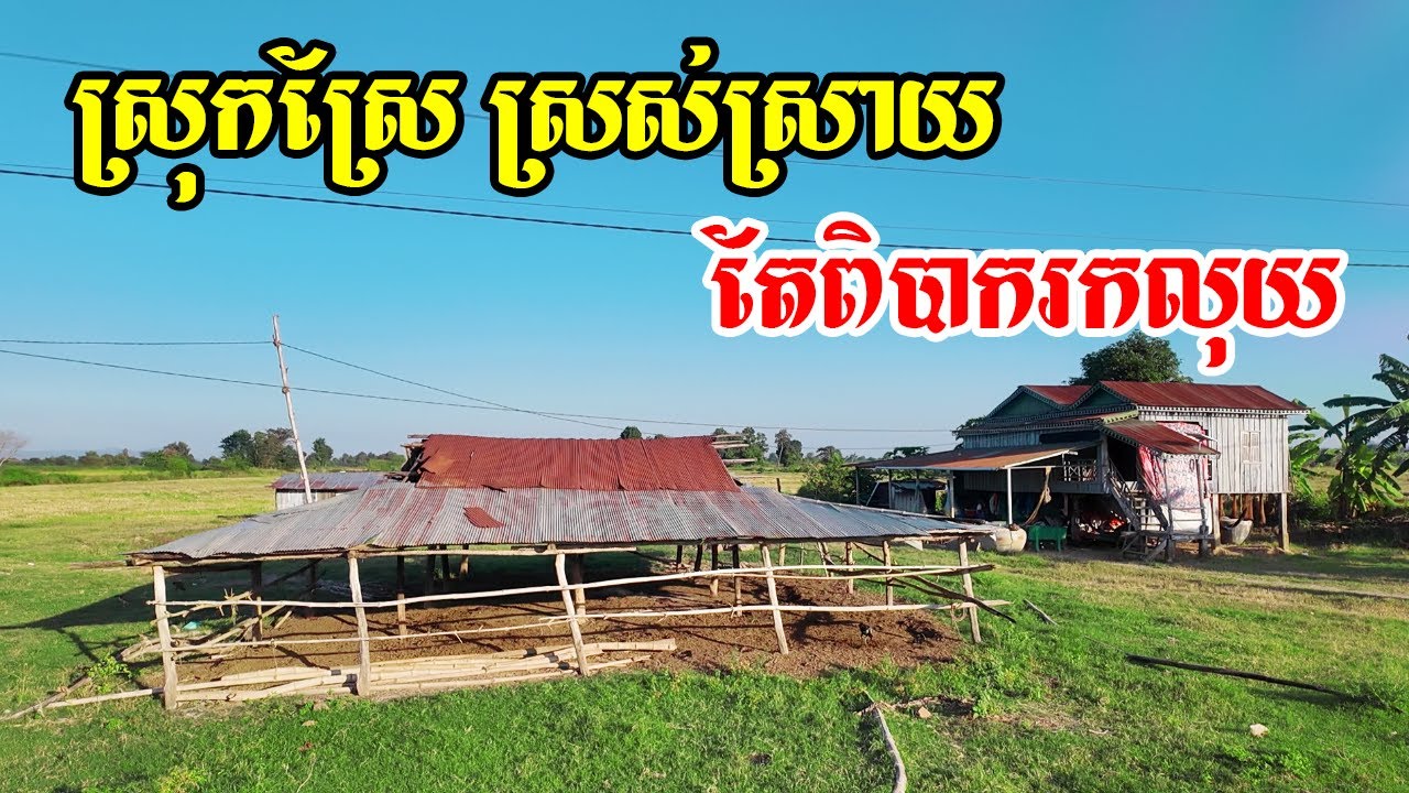 ទីជនបទមួយចំនួនក្នុងខេត្តបាត់ដំបងមានប្រជាជនមានជីវភាពខ្វះខាតច្រើនហើយមានលំនៅឋានជាច្រើនត្រូវបានបោះបង់
