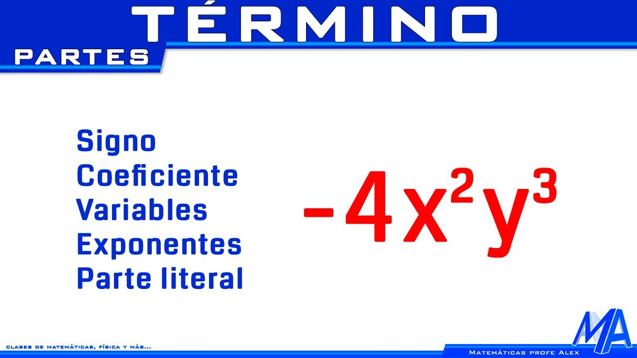 Qué es un término y sus partes