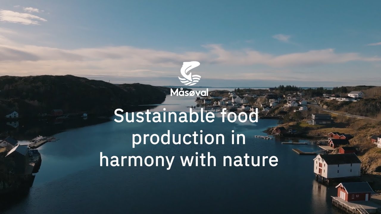 Made by nature, Pioneered by Måsøval | Responsible Salmon Farming