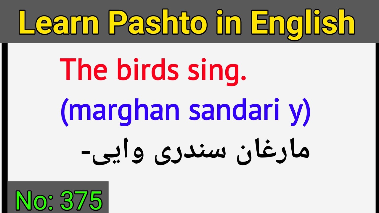 Learn Pashto in English lesson No 375 | learn Pashto language | english to Pashto sentences
