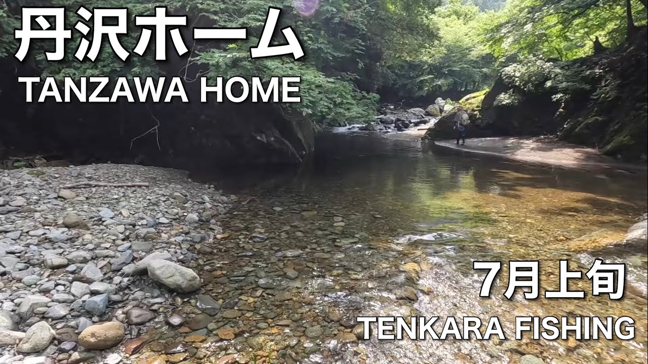 丹沢ホーム 7月上旬【TENKARA FISHING】
