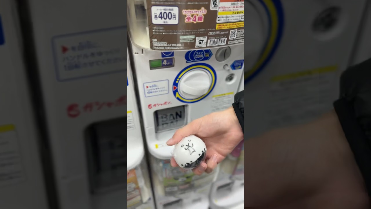 BATTLE CATS CAPSULE MACHINE CRAZED BIRD! #battlecats #capsule #capsuletoy #japan #toys