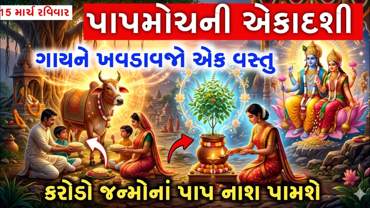 * 15 માર્ચ 2026 પાપમોચની એકાદશી: ગાયને ખવડાવો આ 1 વસ્તુ, ગરીબ પણ બની જશે કરોડપતિ!Ekadashi vrat katha
