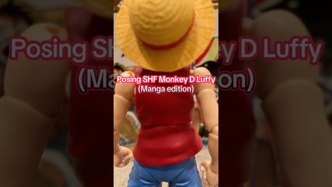 Posing SHF Luffy (Manga Edition)