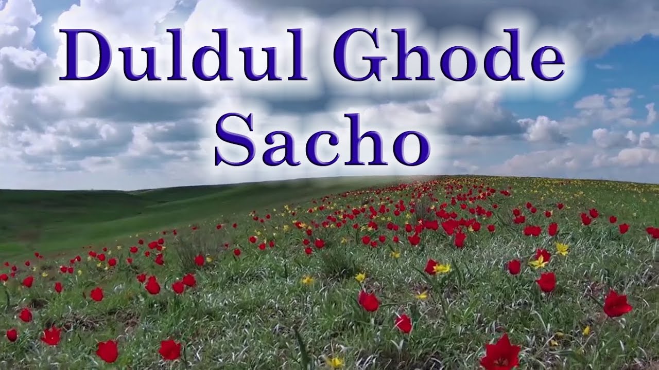 Duldul Ghode Sacho Sami Rajo Chadshe (selected verses) - Shahid Barkat Ali