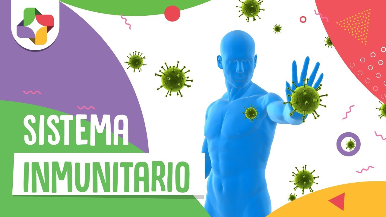 El sistema inmunitario - Educatina