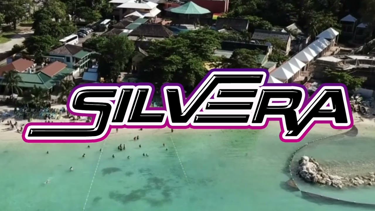 Relationship Riddim 2010 - DJ Silvera Mix