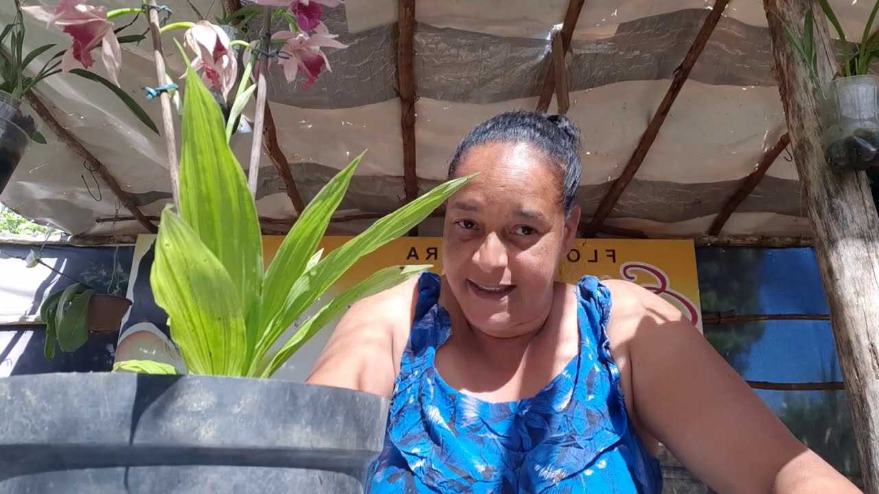 A orquídea capuz de freira ama esse tipo de substrato!!
