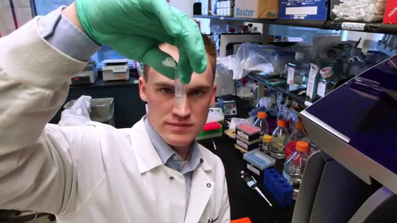 Cutting Edge Research for UC's Medical Scientist Training Program
