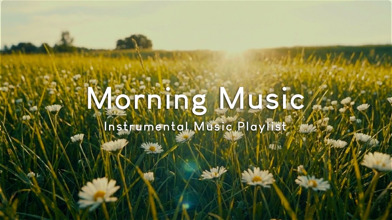 早晨音樂 Morning Music｜舒心的早晨時光，跟隨著音樂，漫步在花海之中