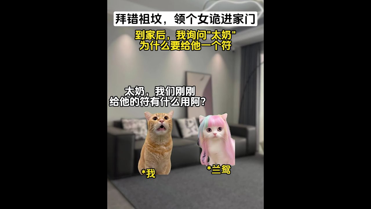 拜错祖坟，领个女鬼进家门？！！ #猫meme #猫meme小剧场 #动画 #猫meme剧场