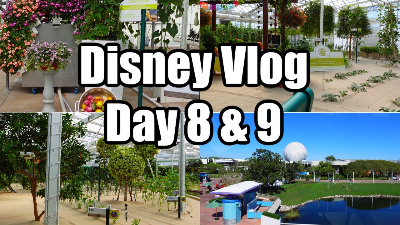 walt disney world vacation| day 8 & 9 vlog | 2024