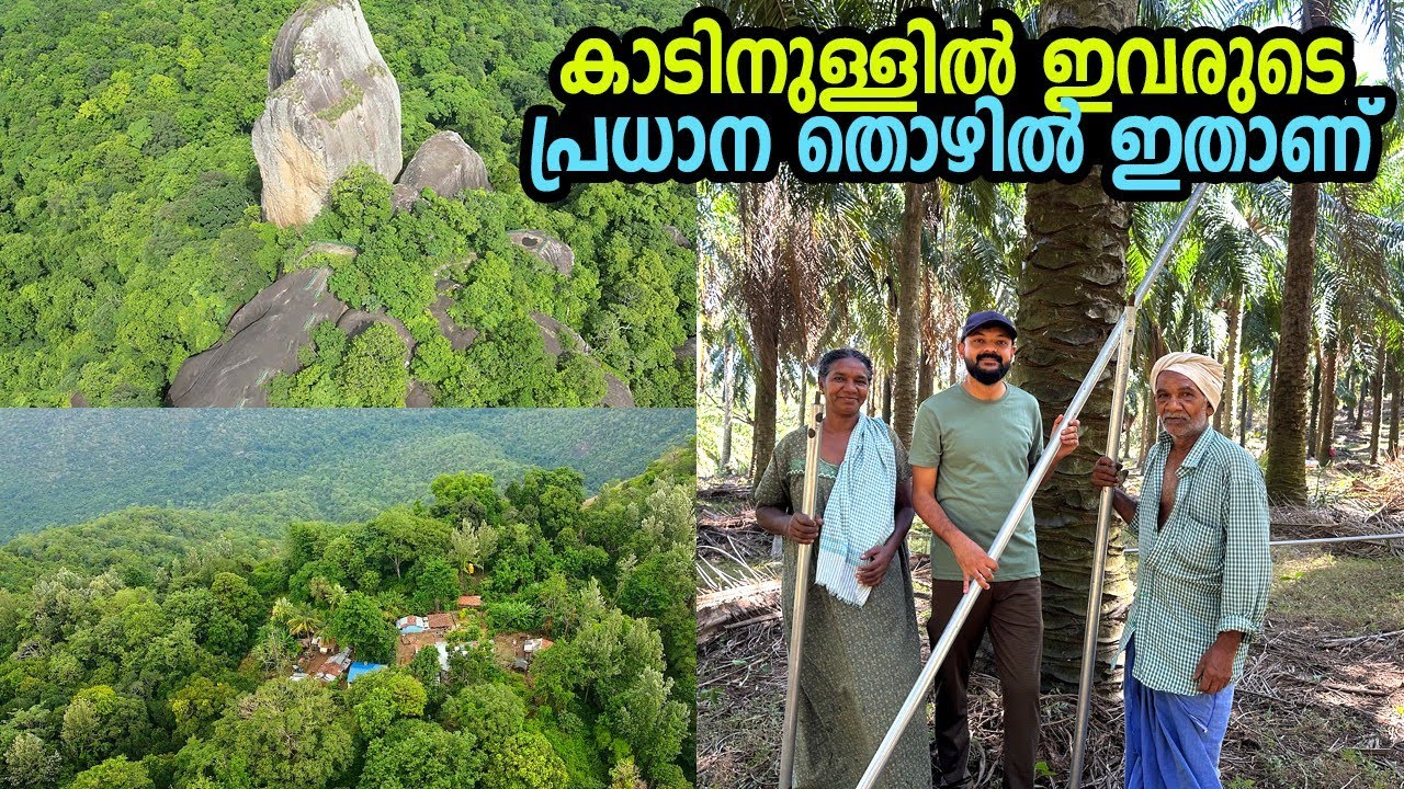 40 വർഷമായി കാടിനുള്ളിൽ ഈ ജോലിയാണ് ഇവർ ചെയ്യുന്നത്...Life in the jungle
