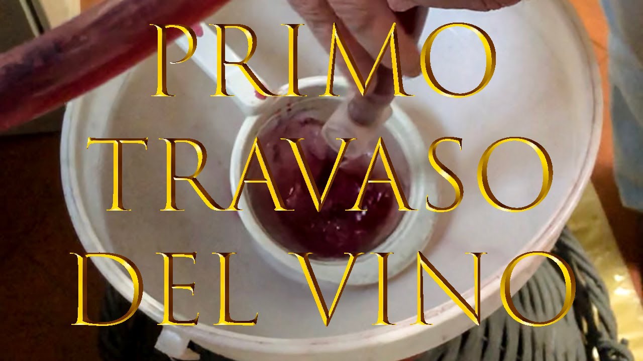 PRIMO TRAVASO del Vino - Filtrazione Scarti/Fondata del Vino/Melma - Fare il Vino