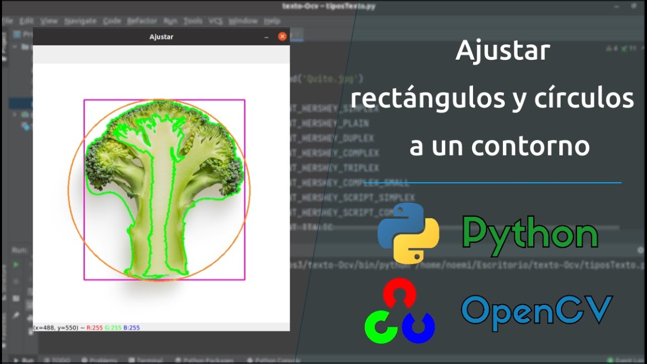 Ajustar rectángulos y círculos a un contorno | Python - openCV