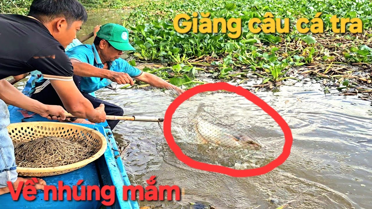 114 | Chuyến thăm câu sông bão cá tra | fishing 