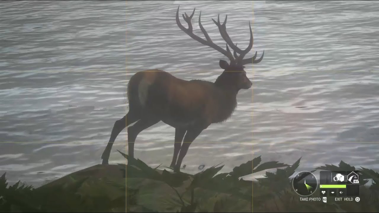 CotW: More closeup photos, and Hirschfelden should be done now