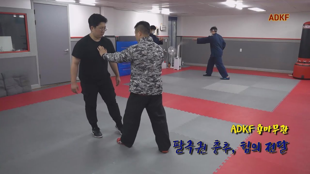 팔극권 충추 발력과 타격력의 전달 - ADKF
