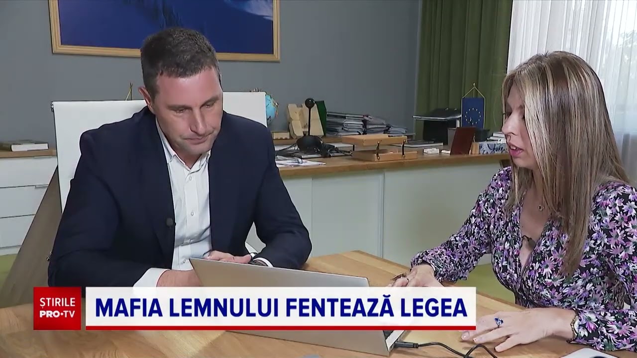 Inspectorul PRO | Cum reușește mafia lemnului din Suceava să fenteze legea