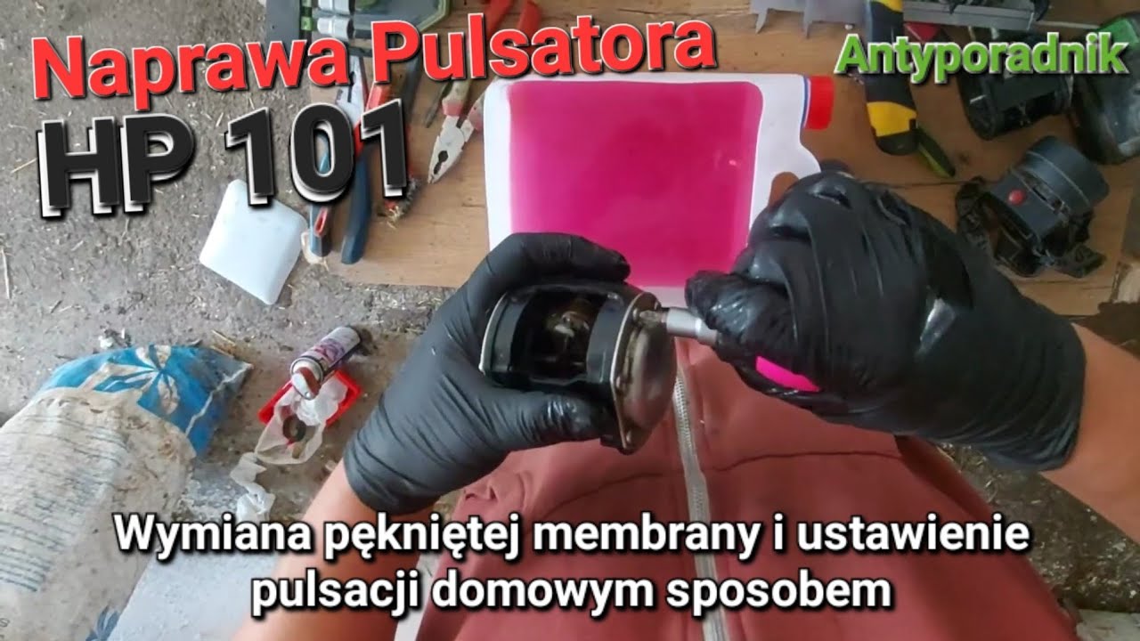 Naprawa pulsatora HP 101/100, wymiana membrany i ustawienie pulsacji. Antyporadnik