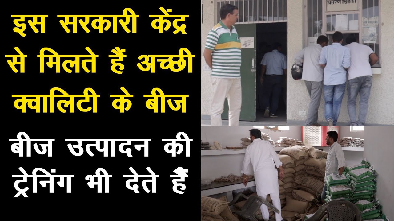 कृषि विज्ञान केंद्र से ट्रेनिंग लेकर शुरू करें बीज उत्पादन का व्यवसाय Seed Production business
