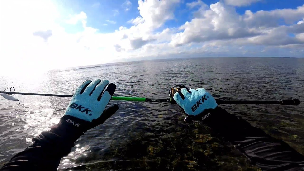 Yuko kahit makunat na rod | Pioneer Ulua Lite 862L