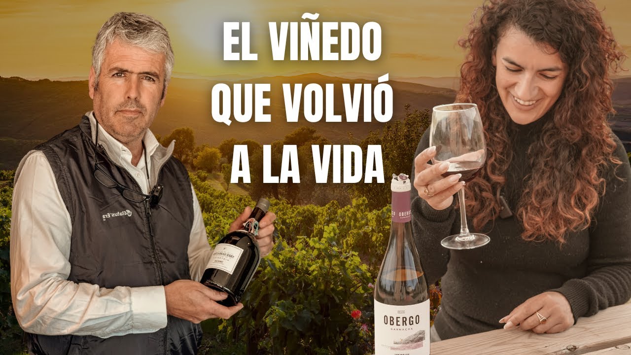 El SECRETO escondido entre viñedos y montañas | Garnacha del Pirineo Aragonés 🍇 BODEGAS OBERGO