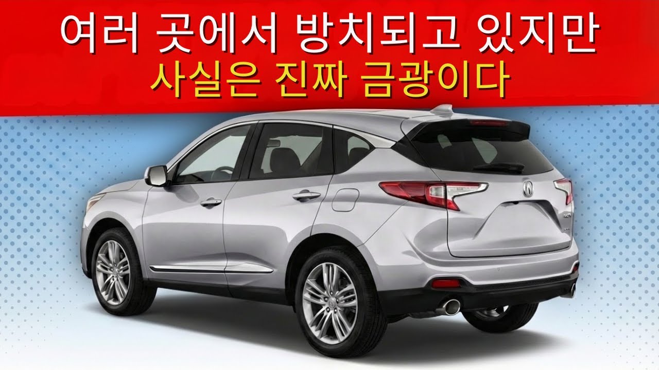 지금 중고 매장에 방치된 세 대의 SUV, 알려지기 전에 꼭 사야 할 이유