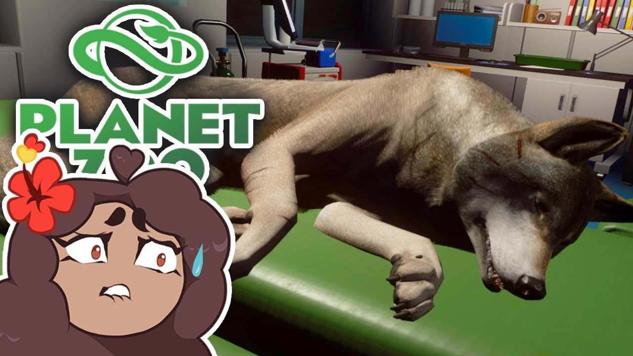 A BATTLE Between Wolves!! 🐺 Daily Planet Zoo! • Day 24