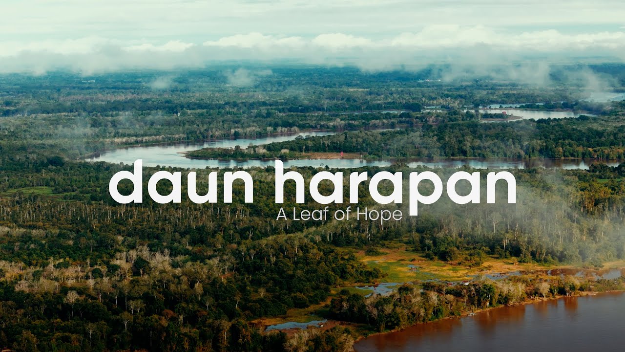 DAUN HARAPAN (A Leaf of Hope) - A Documentary Film | 4K OFFICIAL