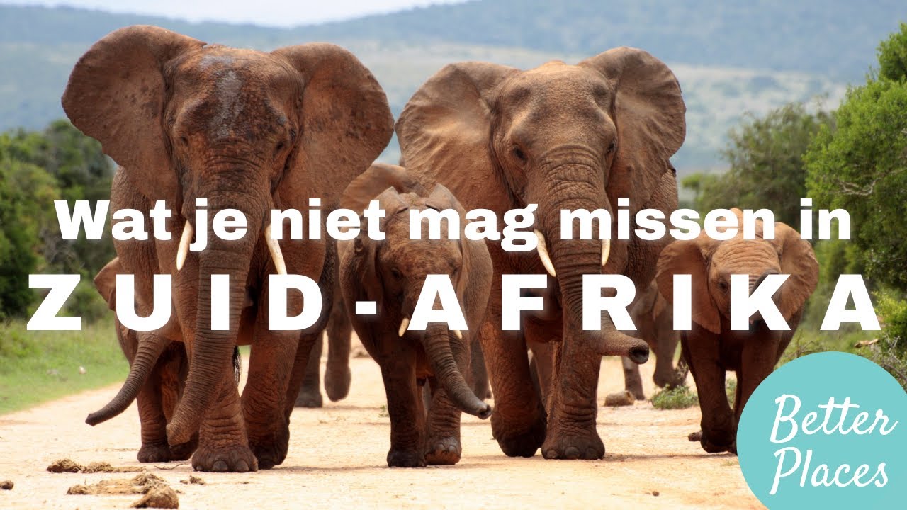 Zuid-Afrika reisinspiratie - bijzondere excursies en lokale belevingen I Better Places