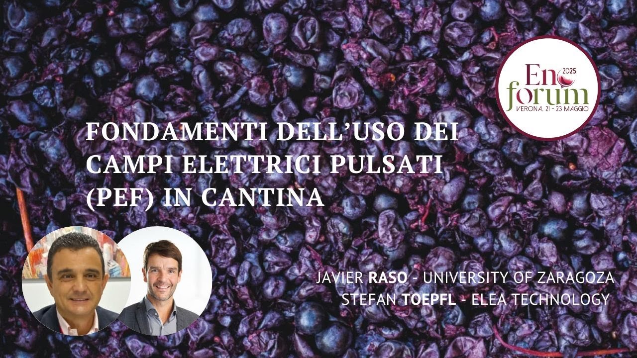 Fondamenti dell’uso dei Campi Elettrici Pulsati (PEF) nelle cantine